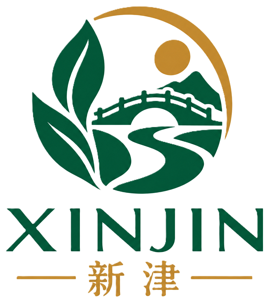 XINJIN 新津